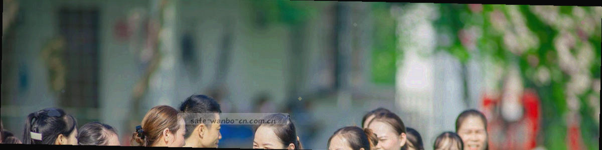 法律文书与笔的抽象线条，表达条款与授权关系